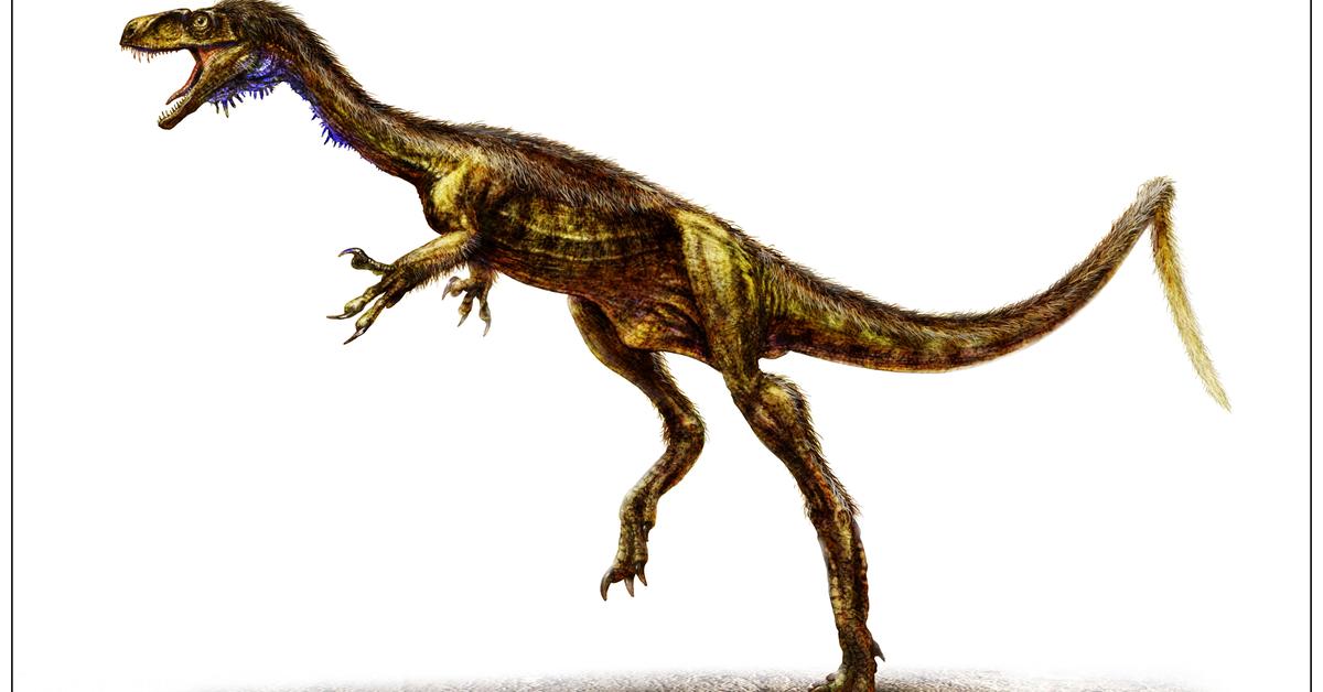 Stunning image of the Theropod (Theropoda), a wonder in the animal kingdom.