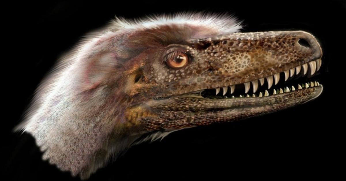 Insightful look at the Theropod, known to Indonesians as Theropoda.