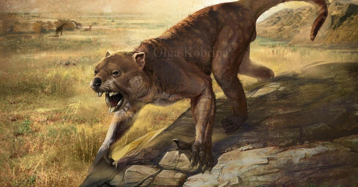 Captivating shot of the Thylacoleo Carnifex, or Thylacoleo Carnifex in Bahasa Indonesia.