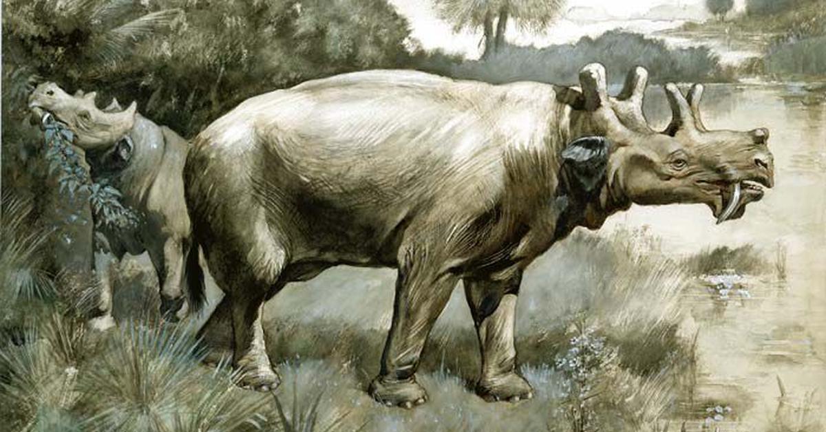 Graceful Uintatherium, a creature with the scientific name Uintatherium.