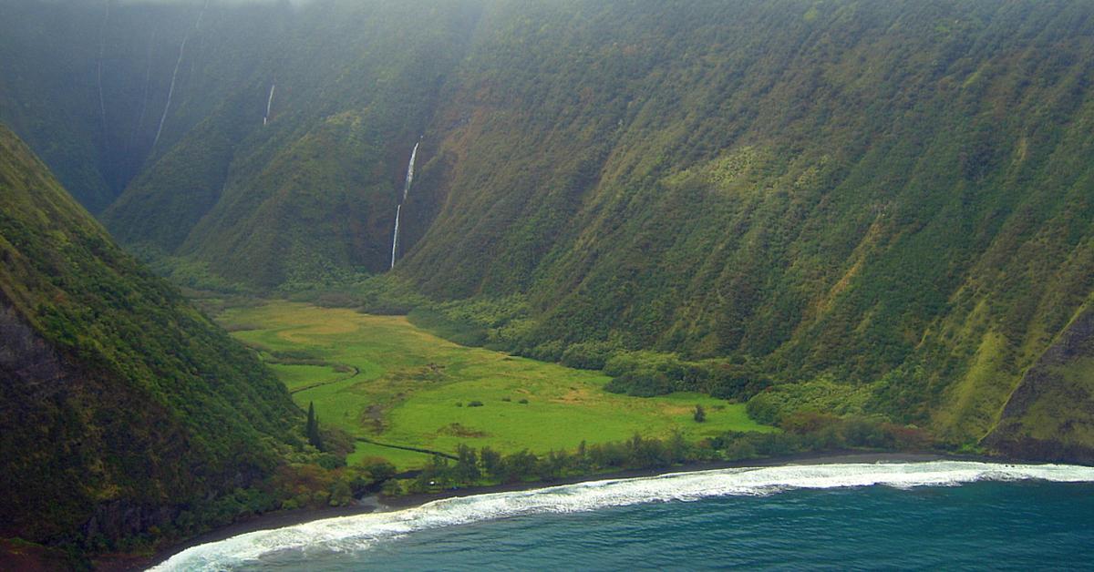 Vivid image of the Waimanu, or Waimanu in Indonesian context.