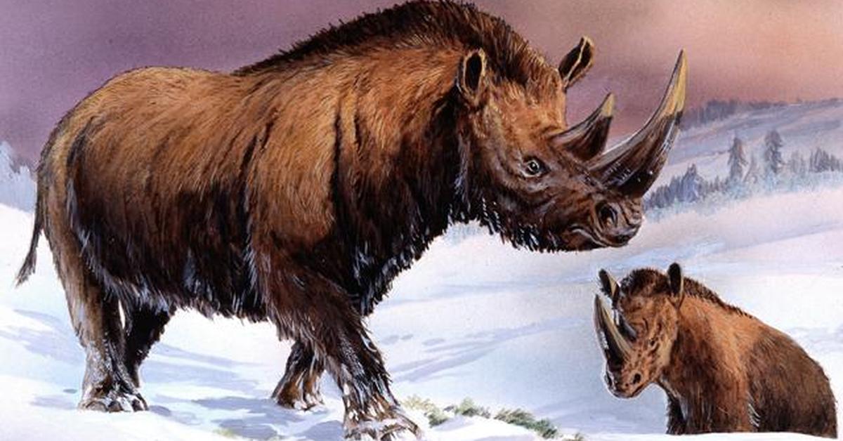 Stunning image of the Woolly Rhinoceros (†Coelodonta antiquitatis), a wonder in the animal kingdom.