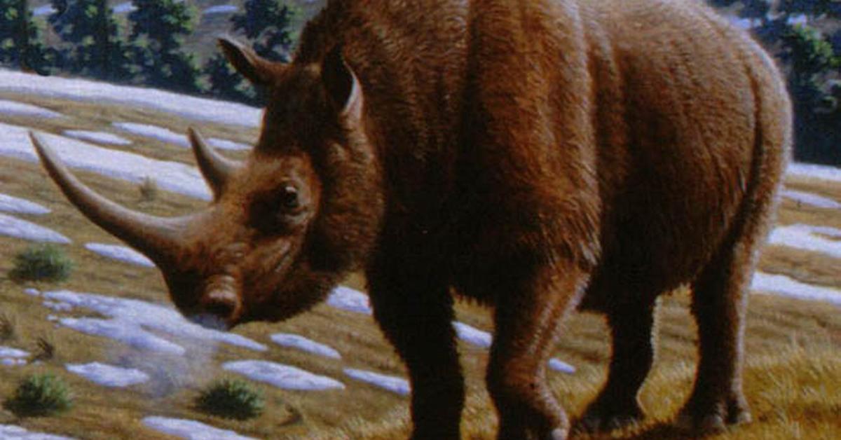 Iconic view of the Woolly Rhinoceros, or †Coelodonta antiquitatis, in its habitat.