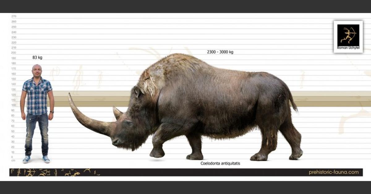 Portrait of a Woolly Rhinoceros, a creature known scientifically as †Coelodonta antiquitatis.