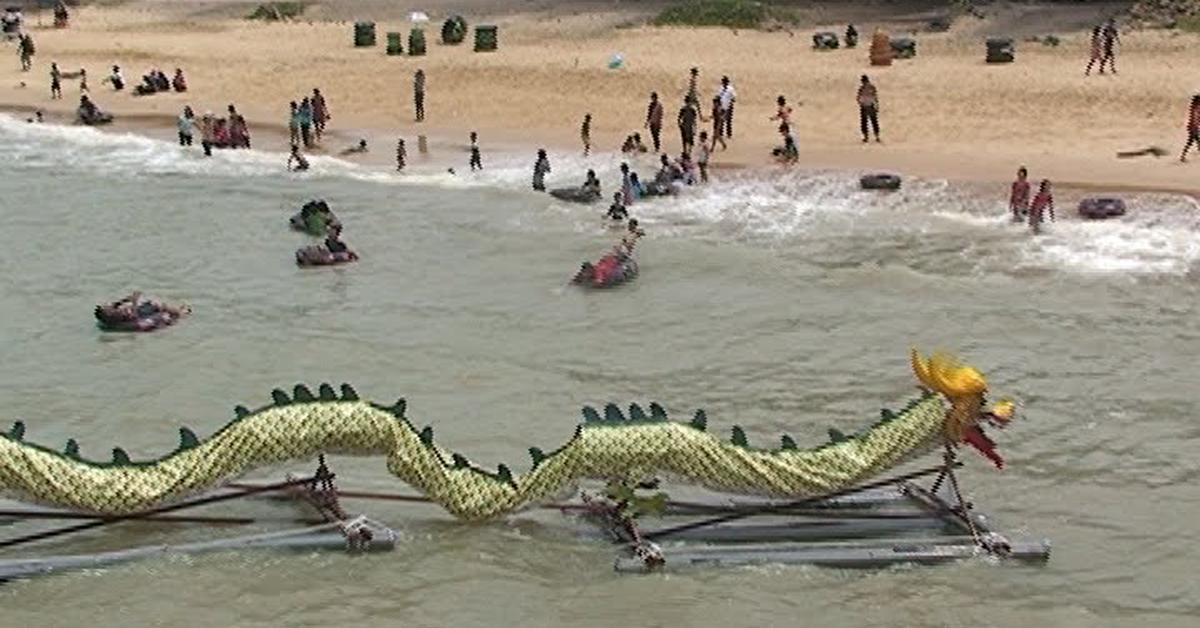 Detailed shot of the Water Dragon, or Physignathus, in its natural setting.