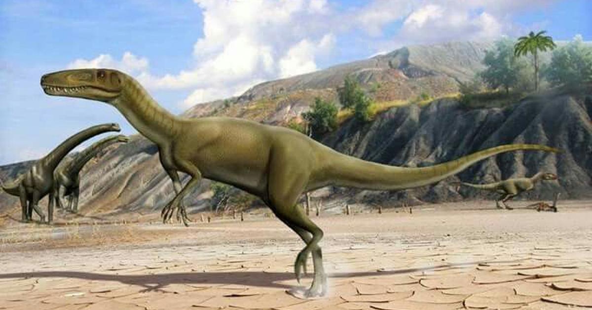 The Xiongguanlong, an example of Xiongguanlong baimoensis, in its natural environment.