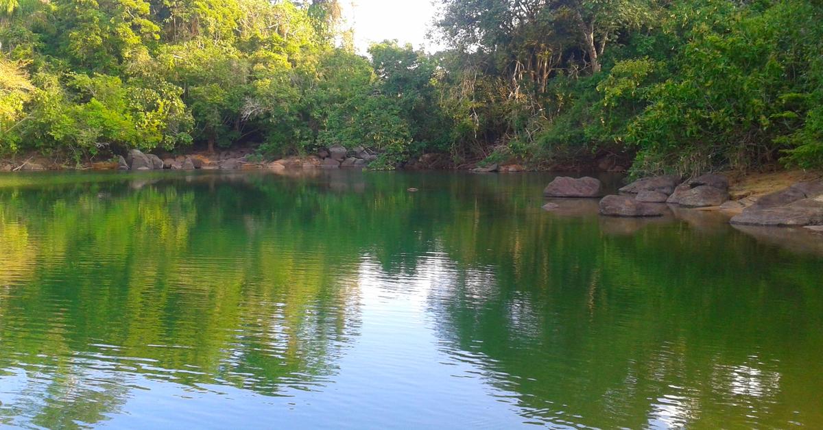 Detailed shot of the Xingu River Ray, or Potamotrygon leopoldi, in its natural setting.