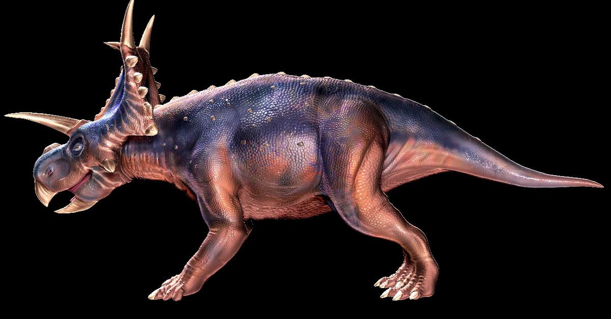 Portrait of a Xenoceratops, a creature known scientifically as Xenoceratops foremostensis.