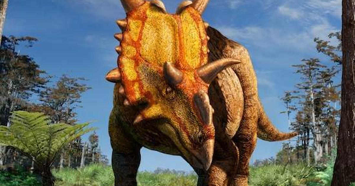 The Xenoceratops, a beautiful species also known as Xenoceratops in Bahasa Indonesia.